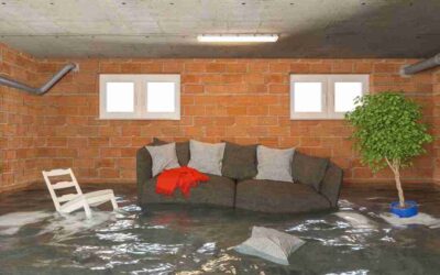 How To Handle Water in Your Basement