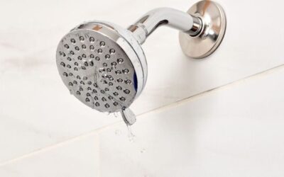 Leaking Shower: Rebuild or Repair