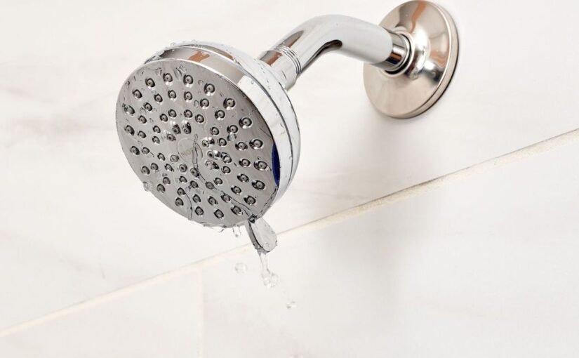 Leaking Shower_ Rebuild or Repair Leaking Shower Rebuild or Repair